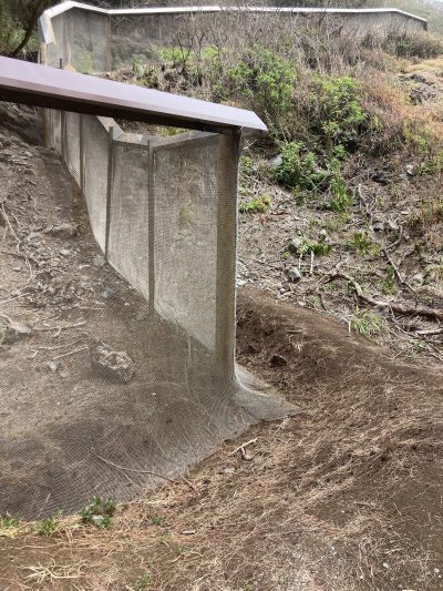 Kilauea Point fence