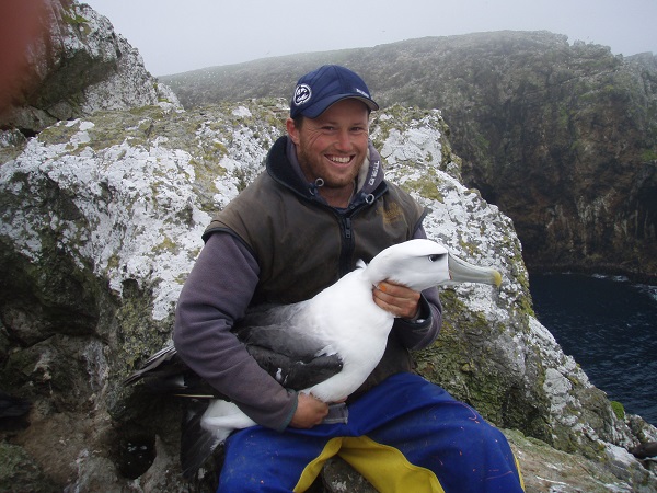 Motuhara Mike Bell White capped Albatross held for banding Motuhara by Mark Fraser