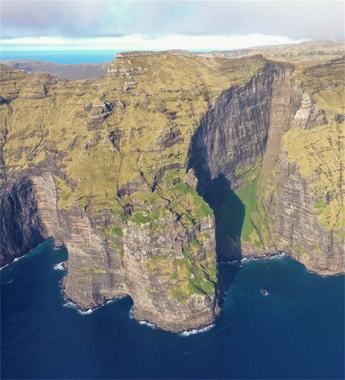 UPDATE The sheer western cliffs of Auckland Island photograph by Finlay Cox