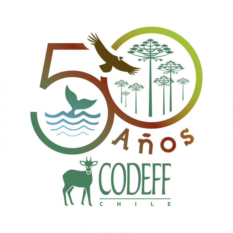 CODEFF logo