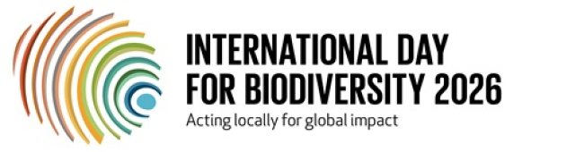 IDB2026 Logo C