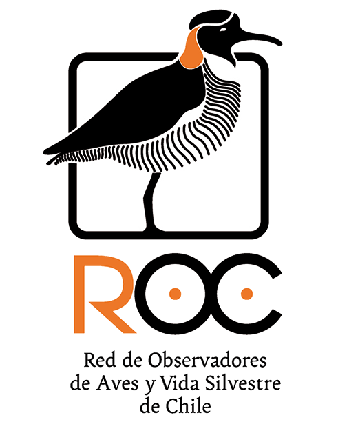ROC logo