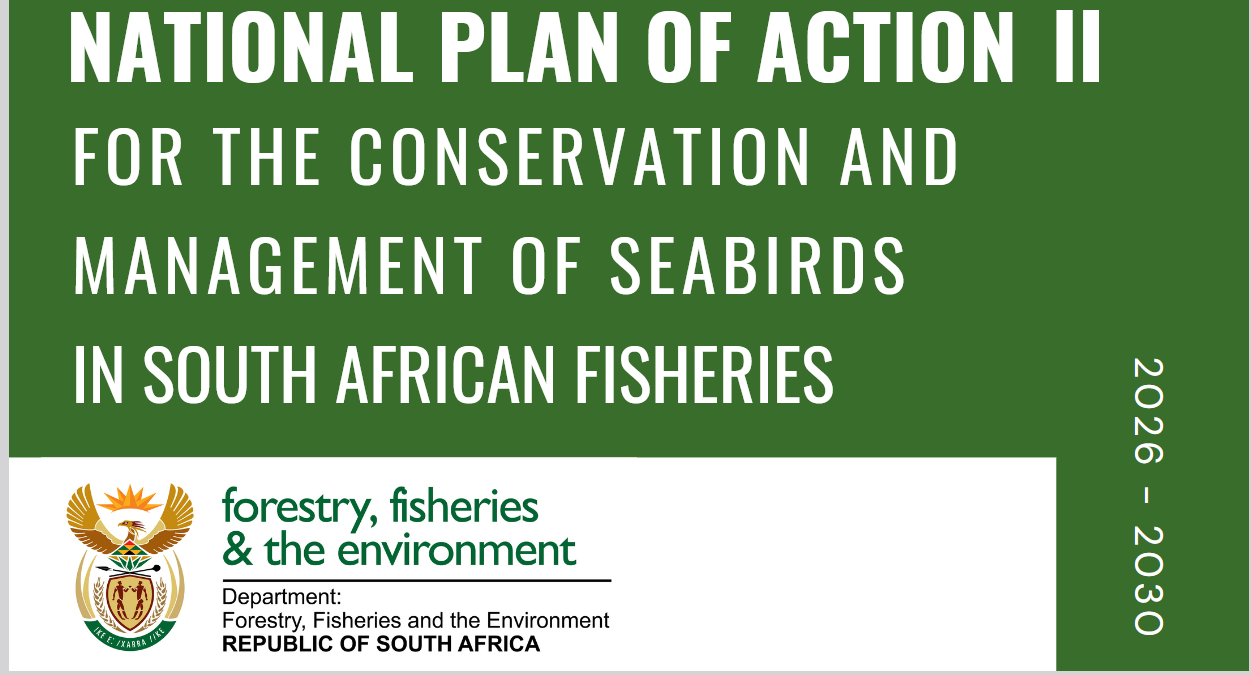 Screenshot 2026 06 03 at 06 14 29 SBWG13 Inf 13 South Africa NPOA S II.pdf