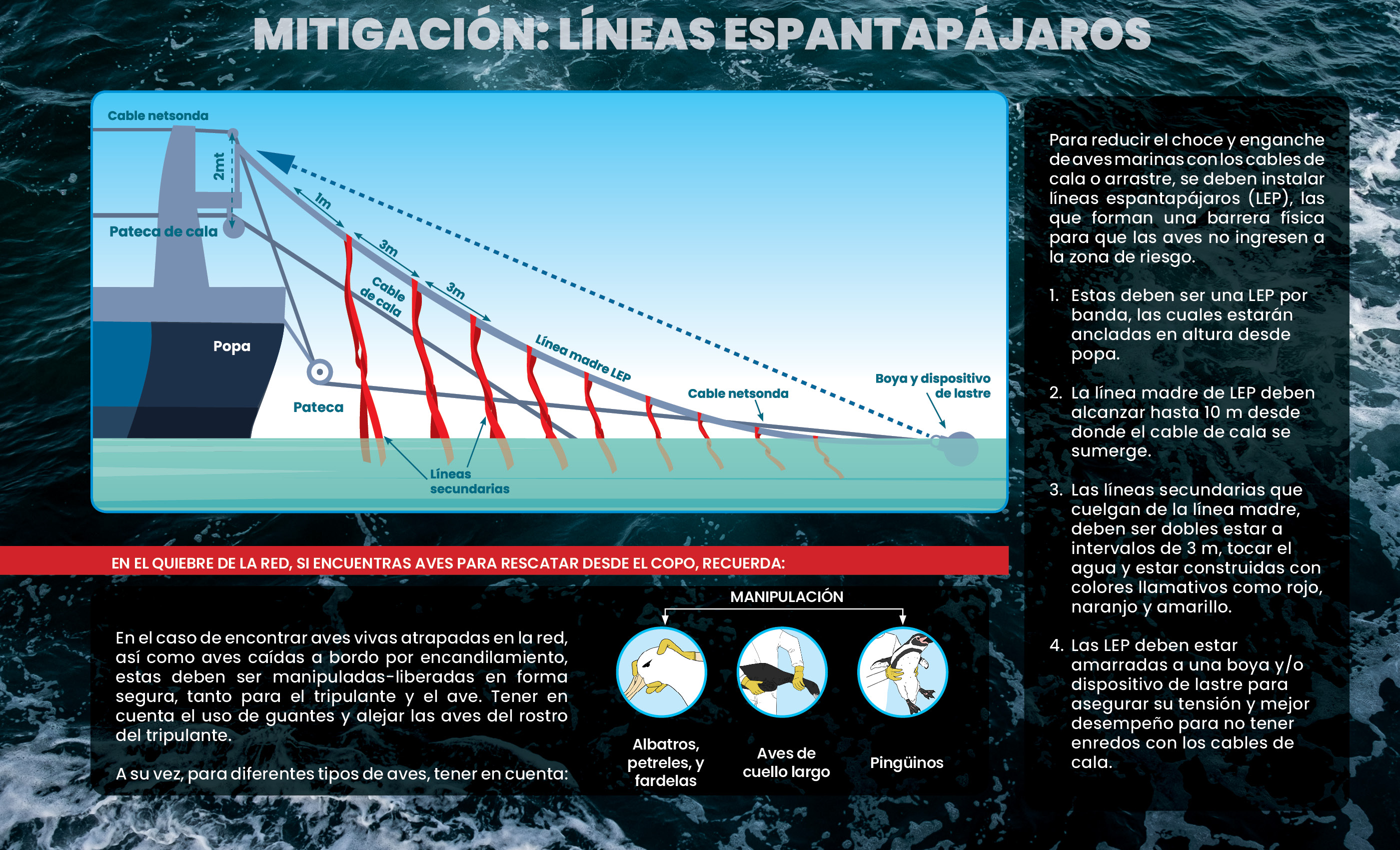 ATF Chile Demersal trawl mitigation 2020 quick guide