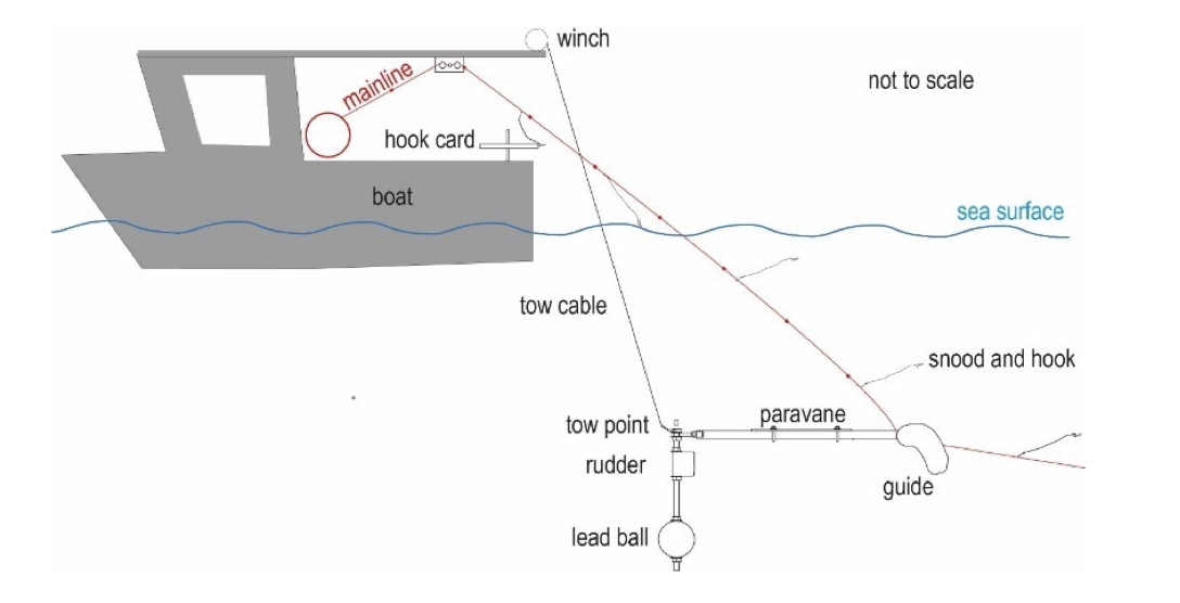 Agreement on the Conservation of Albatrosses and Petrels - The need for  speed: bait type and gear configuration tested to increase sink rates of  hooks in underwater line setting device