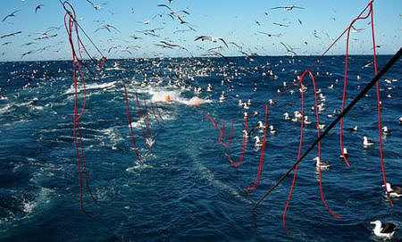 Twin tori lines on South African hake trawler Barry Watkins