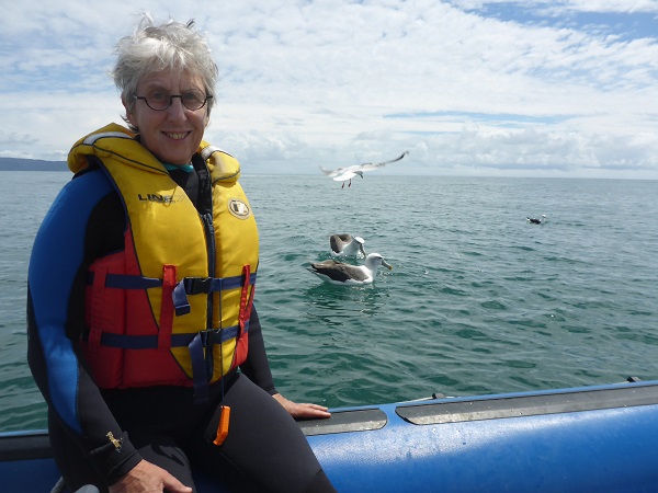 Sue Maturin White capped Albatross shrunk