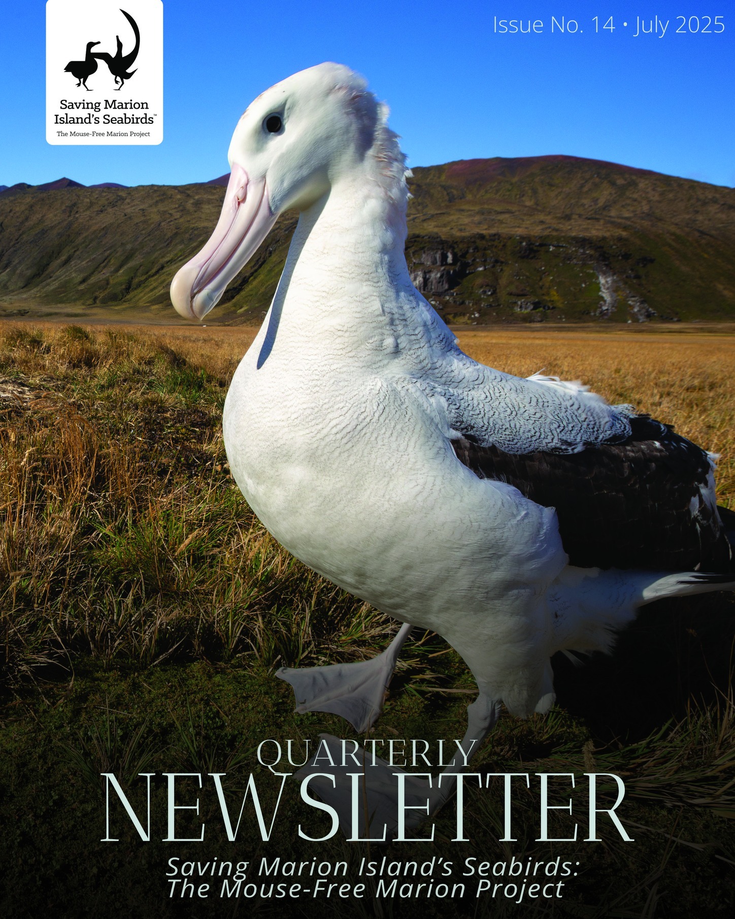 14th cover