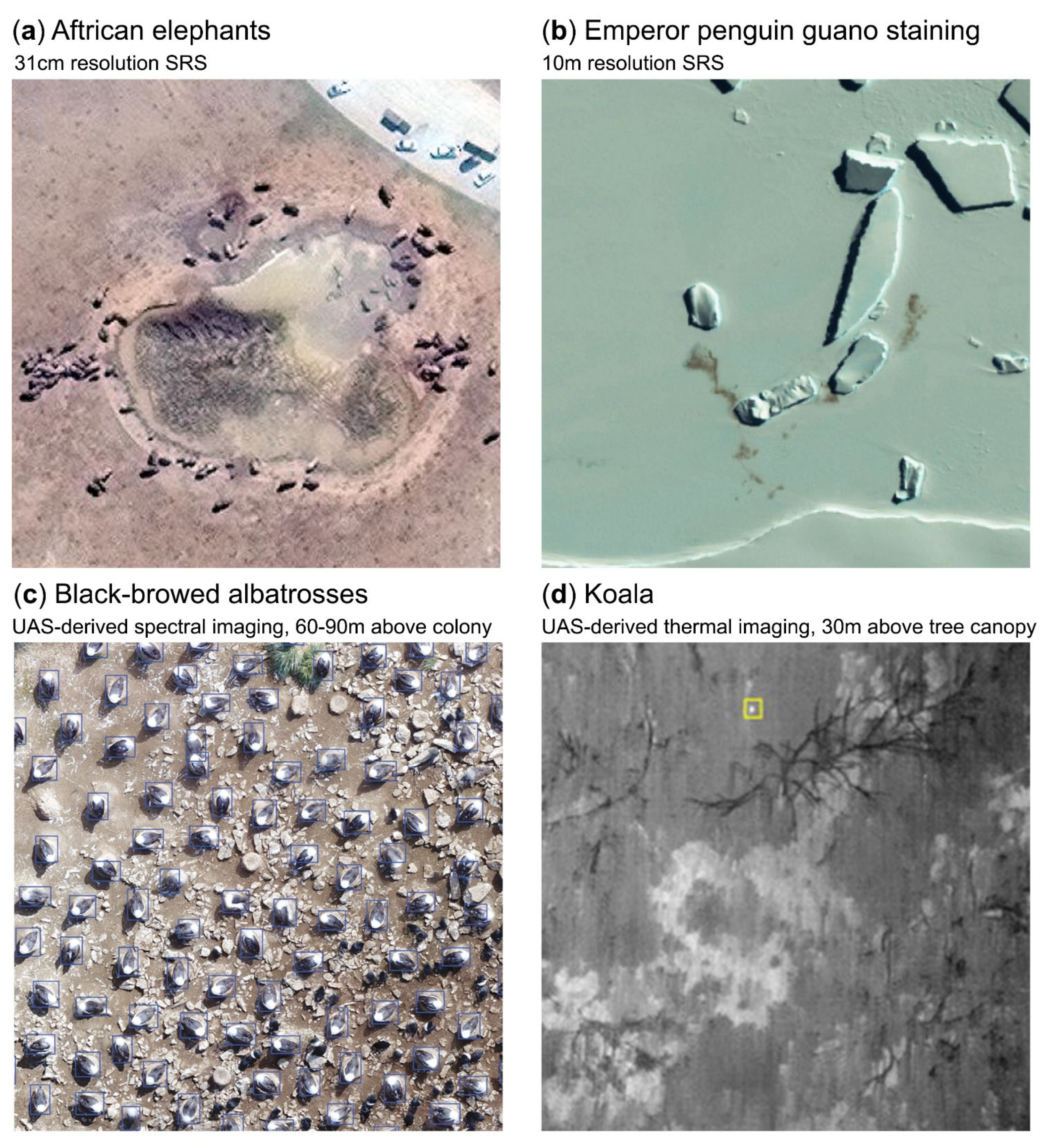 ACAP Guidelines remotesensing Attard Paper