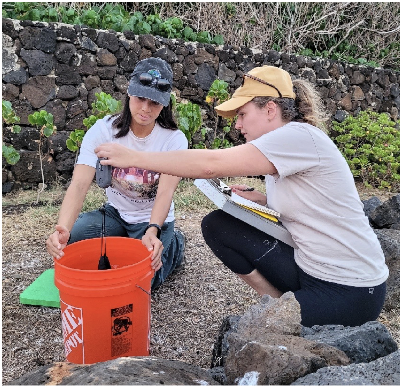 Hawaii Pacific University students Freeman Seabird Reserve Hyrenbach Shearwater Study 2024
