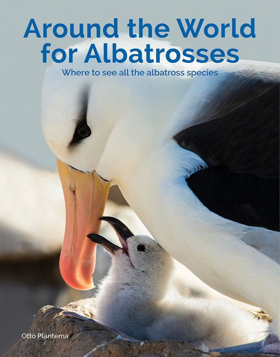 Plantema albatrosses