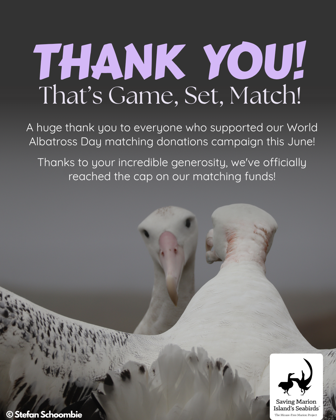 Thank you 1