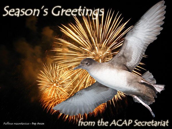 ACAP XMAS card 2020 e