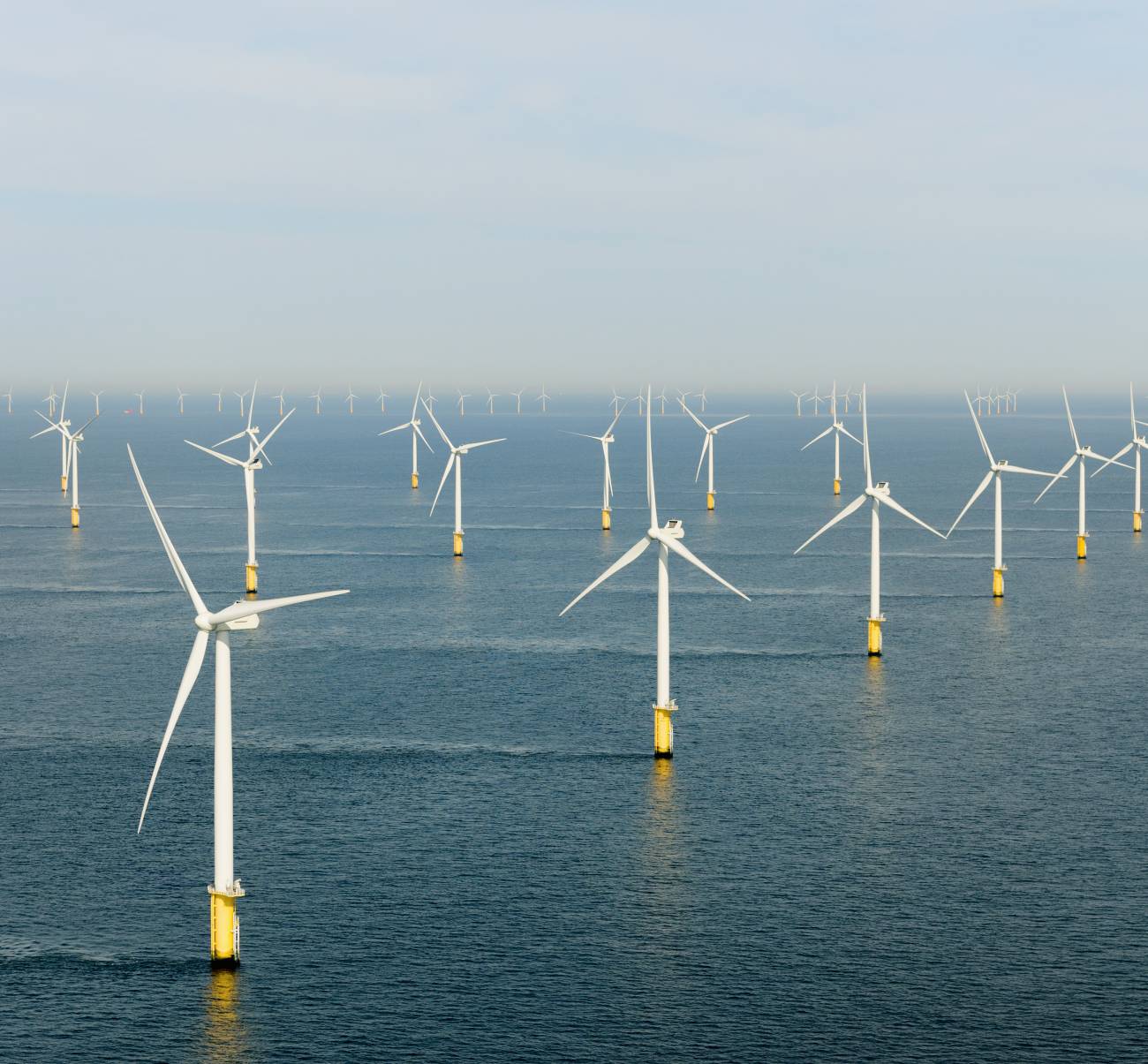 wind turbines north sea