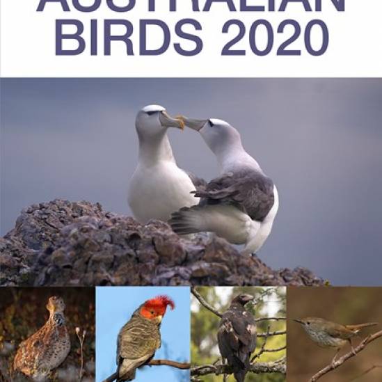 The 2020 Action Plan for Australian Birds shows an improved national conservation status for eight ACAP-listed albatrosses and petrels