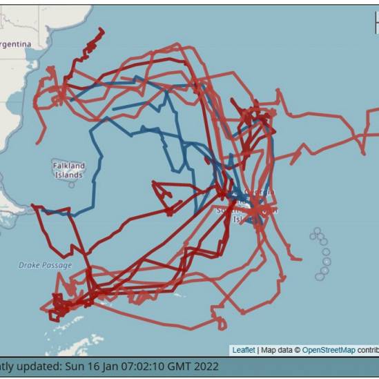 Overlaps between colonies and with fisheries: tracking Wandering Albatrosses and White-chinned Petrels in the South Atlantic