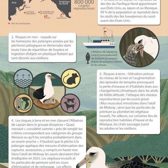 Avez-vous vu nos infographies? / ¿Has visto nuestras infografías?  Two new ACAP Species Infographics in French and Spanish released to mark World Albatross Day