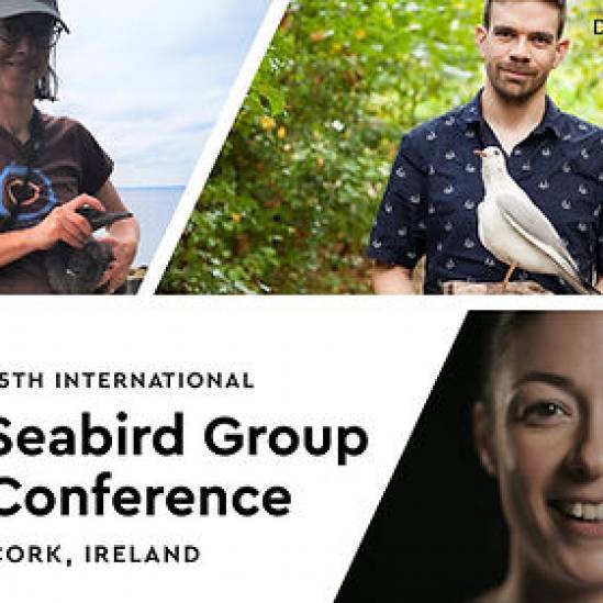 Couldn't make it to this year's Seabird Group Conference? Don't worry, you can catch up online