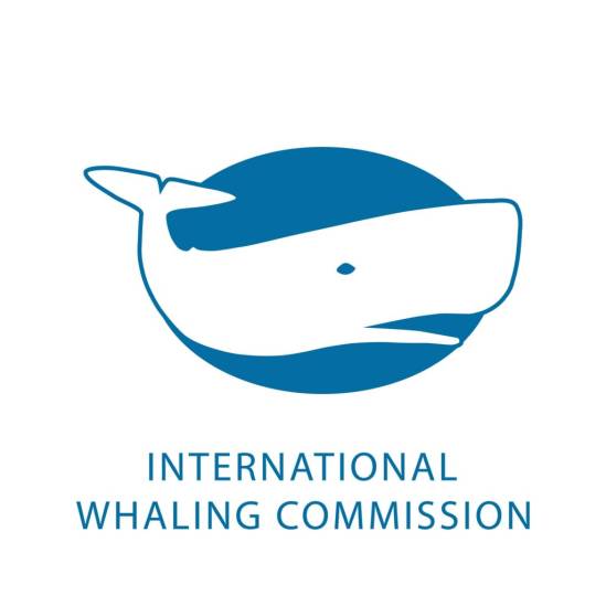 The International Whaling Commission seeks new Executive Secretary