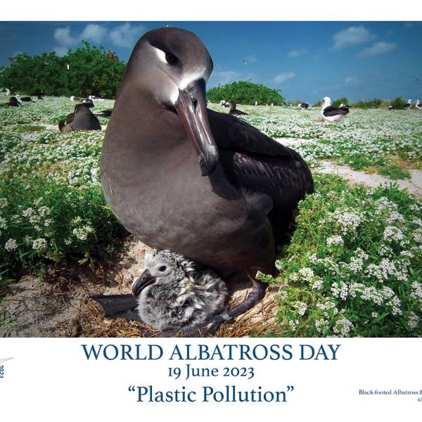 Six more posters released today in support of this year’s World Albatross Day