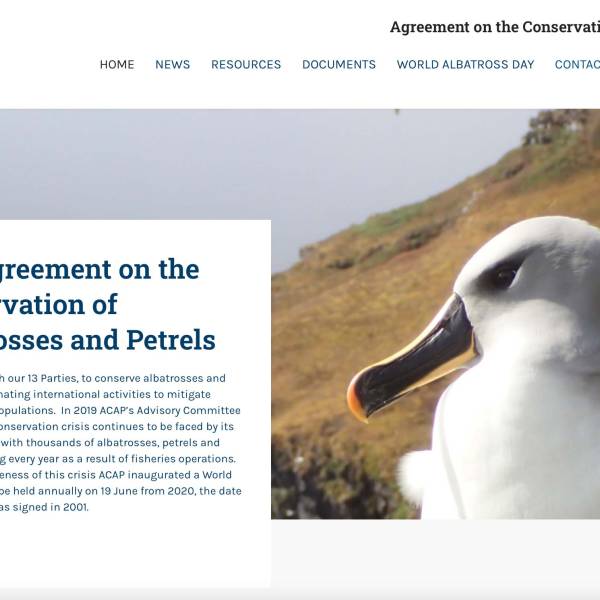 Notice anything different? The ACAP website relaunches with a new look 