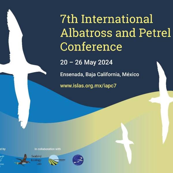 Pre-registration for the 7th International Albatross and Petrel Conference in May 2024 is now open