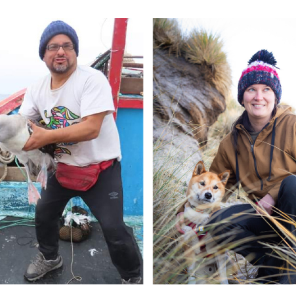 Supporting seabird research: ACAP is delighted to announce four successful applicants to its Secondment Programme