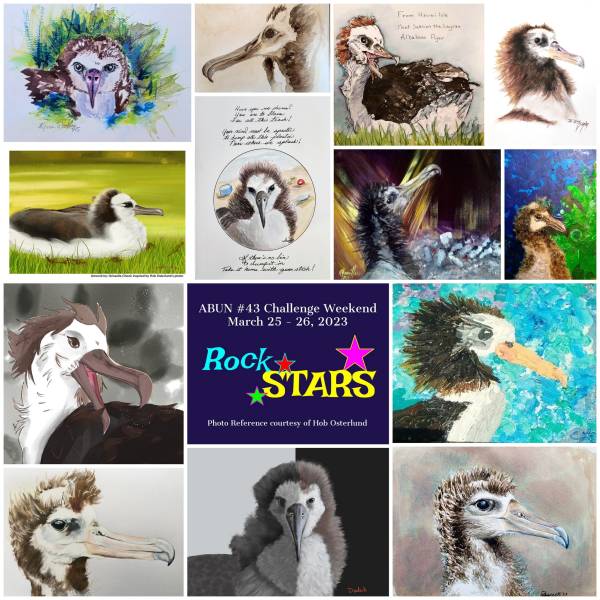 Artists and Biologists for Nature hold a “Rock Star Weekend Challenge” for World Albatross Day