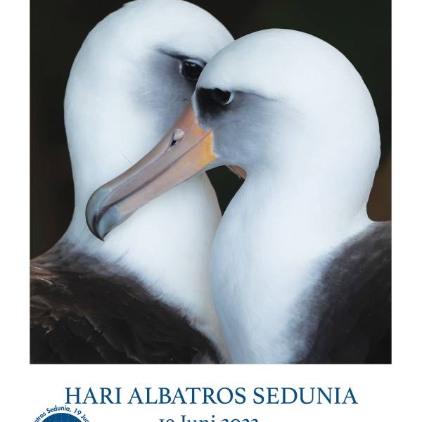 ACAP releases World Albatross Day photo posters for 2023 in Indonesian, the third Asian language to be featured