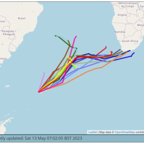 South Africa ahoy! Tracking juvenile Black-browed Albatrosses across the South Atlantic to the Benguela and Agulhas Currents