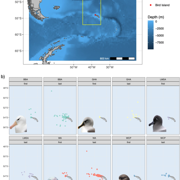 Rafting behaviour of South Atlantic albatrosses and petrels suggests conservation of nearshore areas to breeding colonies could benefit populations