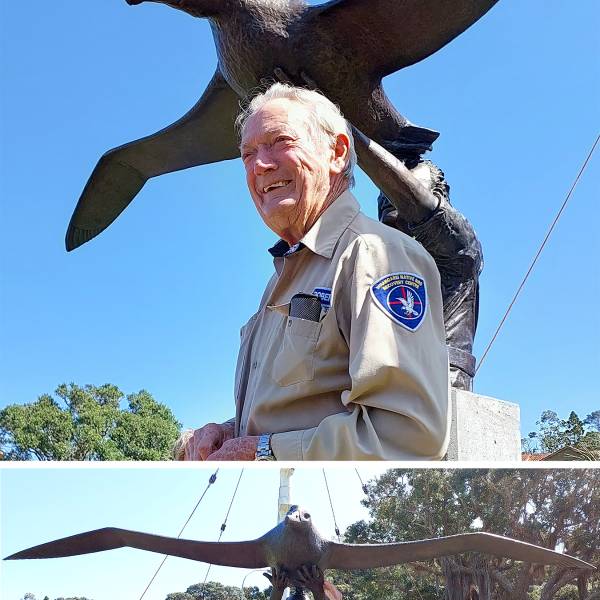 A rehabilitated Southern Royal Albatross gets a sculpture