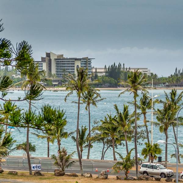 New Caledonia to host the first Oceania seabird symposium in 2024