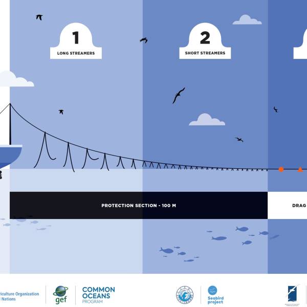 Catchy graphics aim to help stop seabird bycatch in fisheries