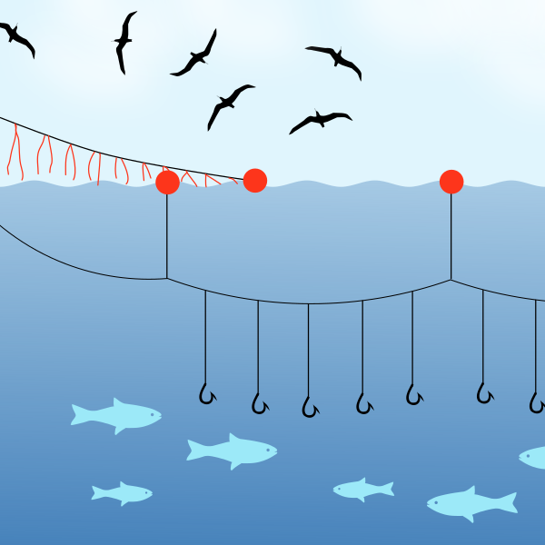 Mitigating the effect of by-catch on threatened seabirds (and other marine life)