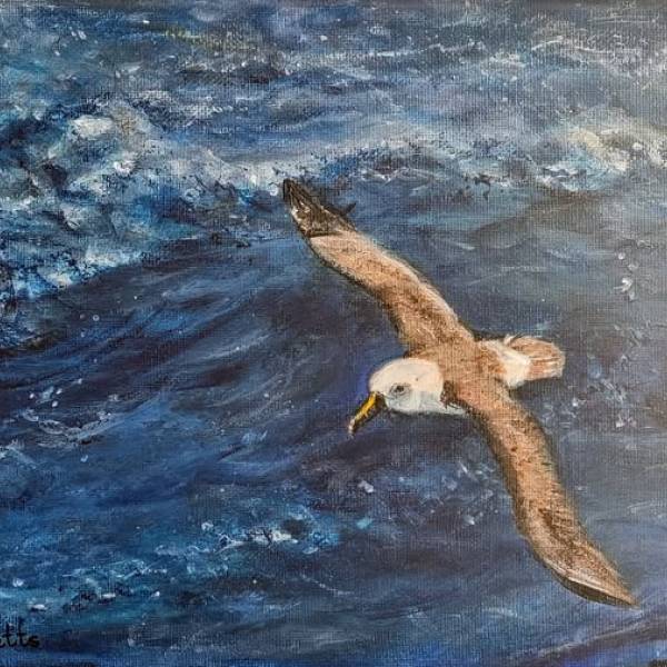 THE ACAP MONTHLY MISSIVE.  When artists and photographers meet: featuring three supporters of World Albatross Day, 2025