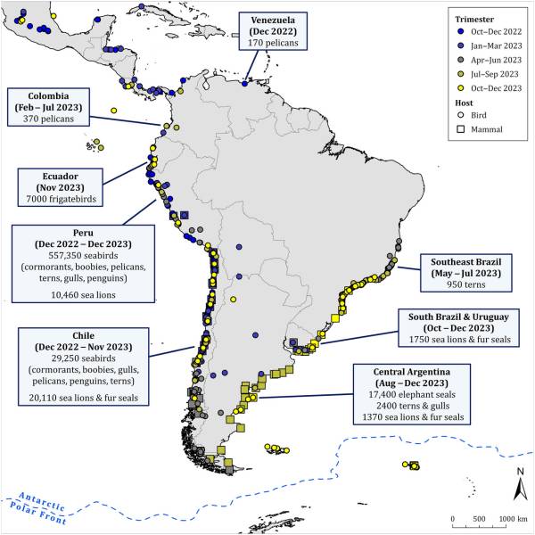'WADWEEK' No. 1. Charting the spread of high-pathogenicity avian influenza from South America to Antarctica