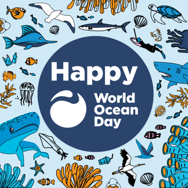 The Third United Nations Ocean Conference is being held this week in France – straight after World Oceans Day