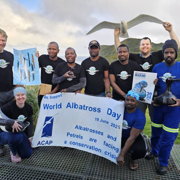 WADWEEK #7.  It’s World Albatross Day!