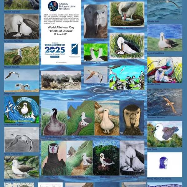 ACAP’s annual collaboration with Artists & Biologists Unite for Nature marking World Albatross Day ends with a compilation poster