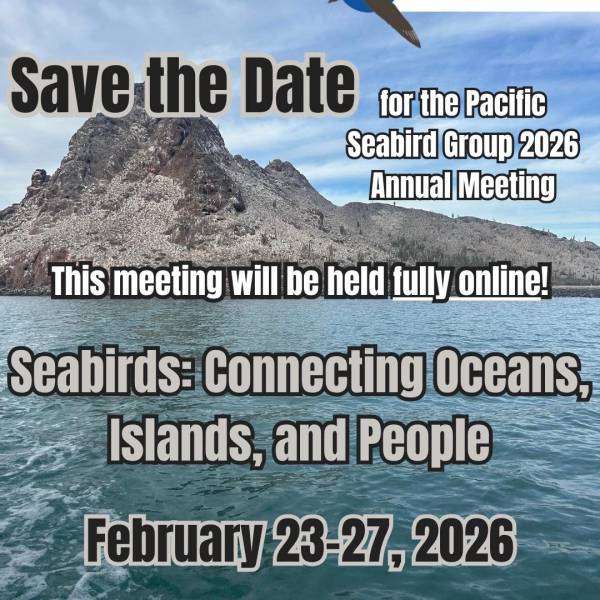 The Pacific Seabird Group’s annual meeting next year will only be online