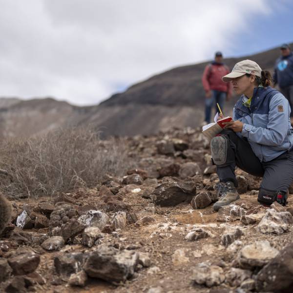 Removing invasive species from Mexico’s seabird islands recognized as a New World Restoration Flagship