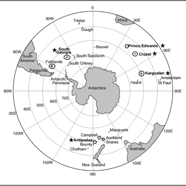 Drowned at sea.  Stable isotopes assign origin of White-Chinned Petrels caught on longlines