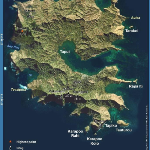 The shearwaters and other procellariiform seabirds of Rapa Island in French Polynesia