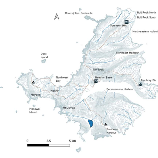 Field research on ACAP-listed albatrosses and petrels on Campbell Island during 2024/25
