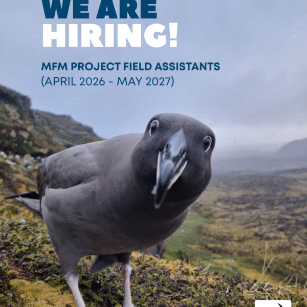 Vacancies for two field assistants on sub-Antarctic Marion Island, April 2026 – May 2027