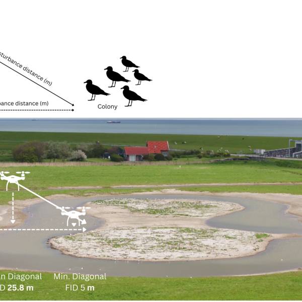 How high, how far?  Best practice guidance for use of drones over colonially-breeding seabirds