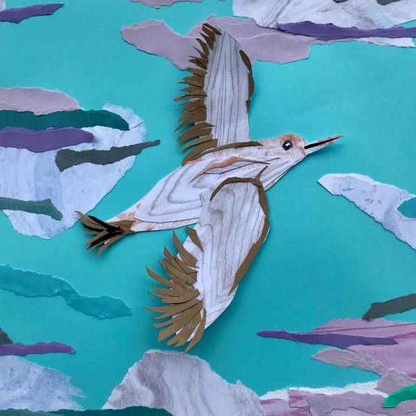 Migratory dynamics of the Critically Endangered Balearic Shearwater