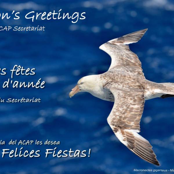 Season’s greetings and best wishes for 2026 from the ACAP Secretariat