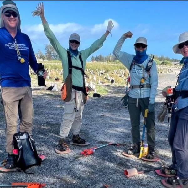 Counting albatrosses on Midway Atoll with funny feet